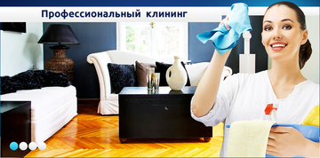 профессиональные клининговые услуги в москве
