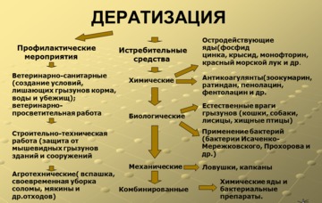 дератизация в москве вызов профессионалов