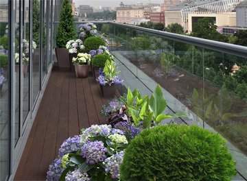 Озеленение офисов крыш балконов в Москве