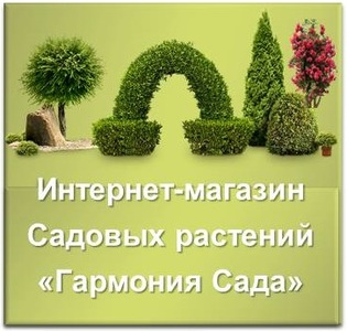 Посадочный Материал Интернет Магазин Цветы Саженцы